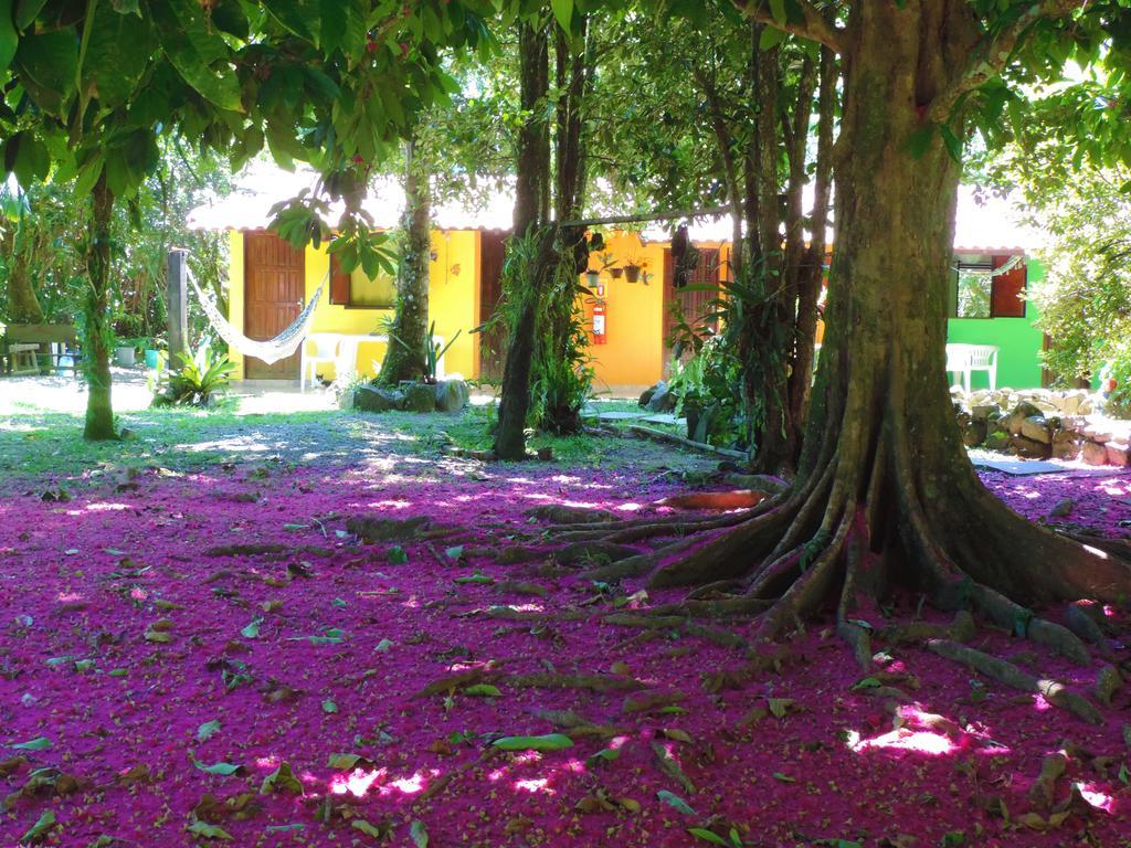 Pousada Sitio Das Flores 特林达德 外观 照片